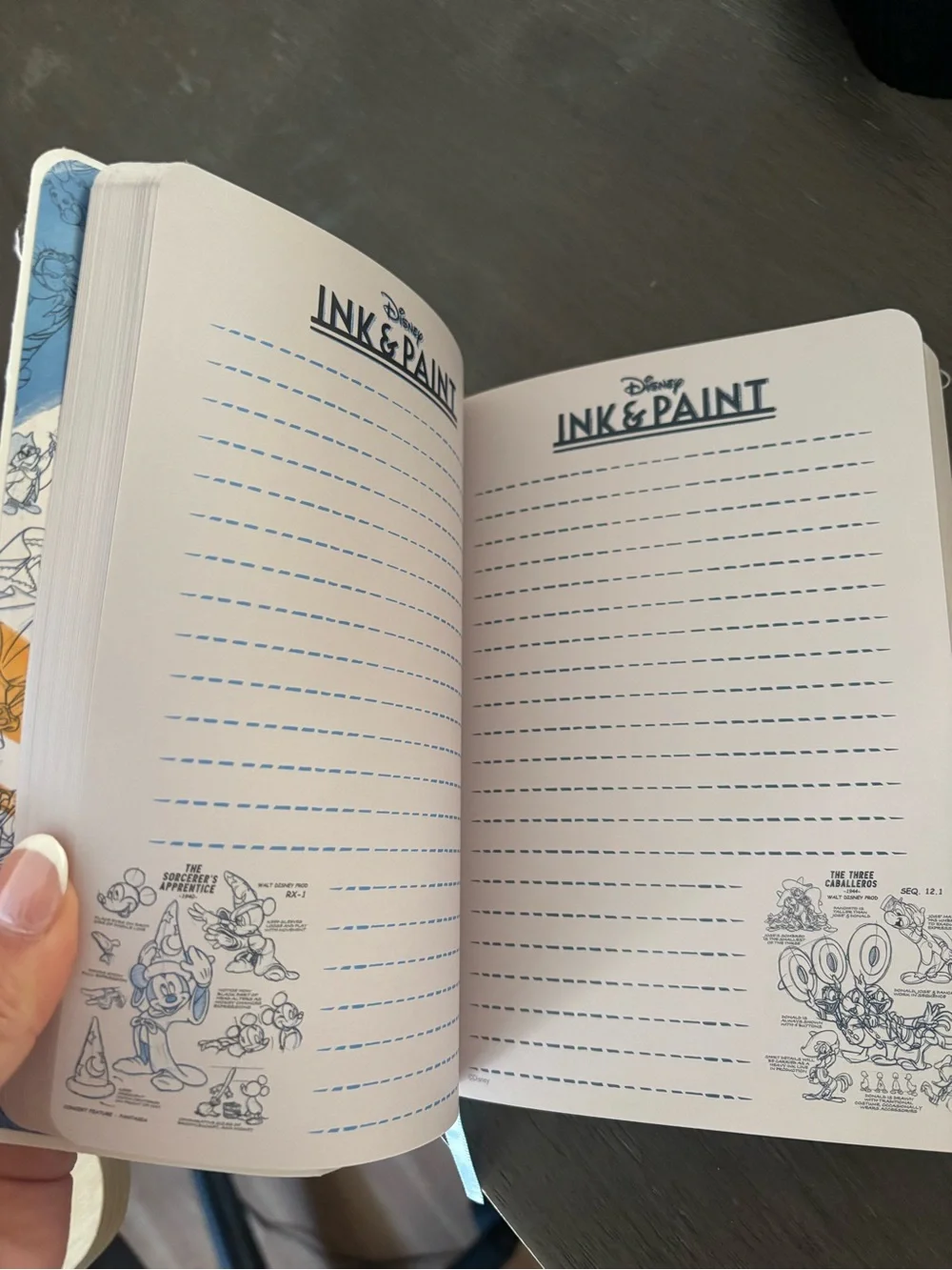 Disney Ink & Paint Notebook